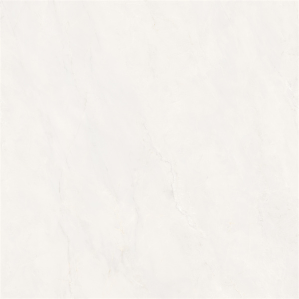 SW88108C